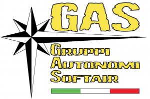CNSF-logo-GAS